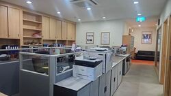 Vertex (D14), Factory #499087441